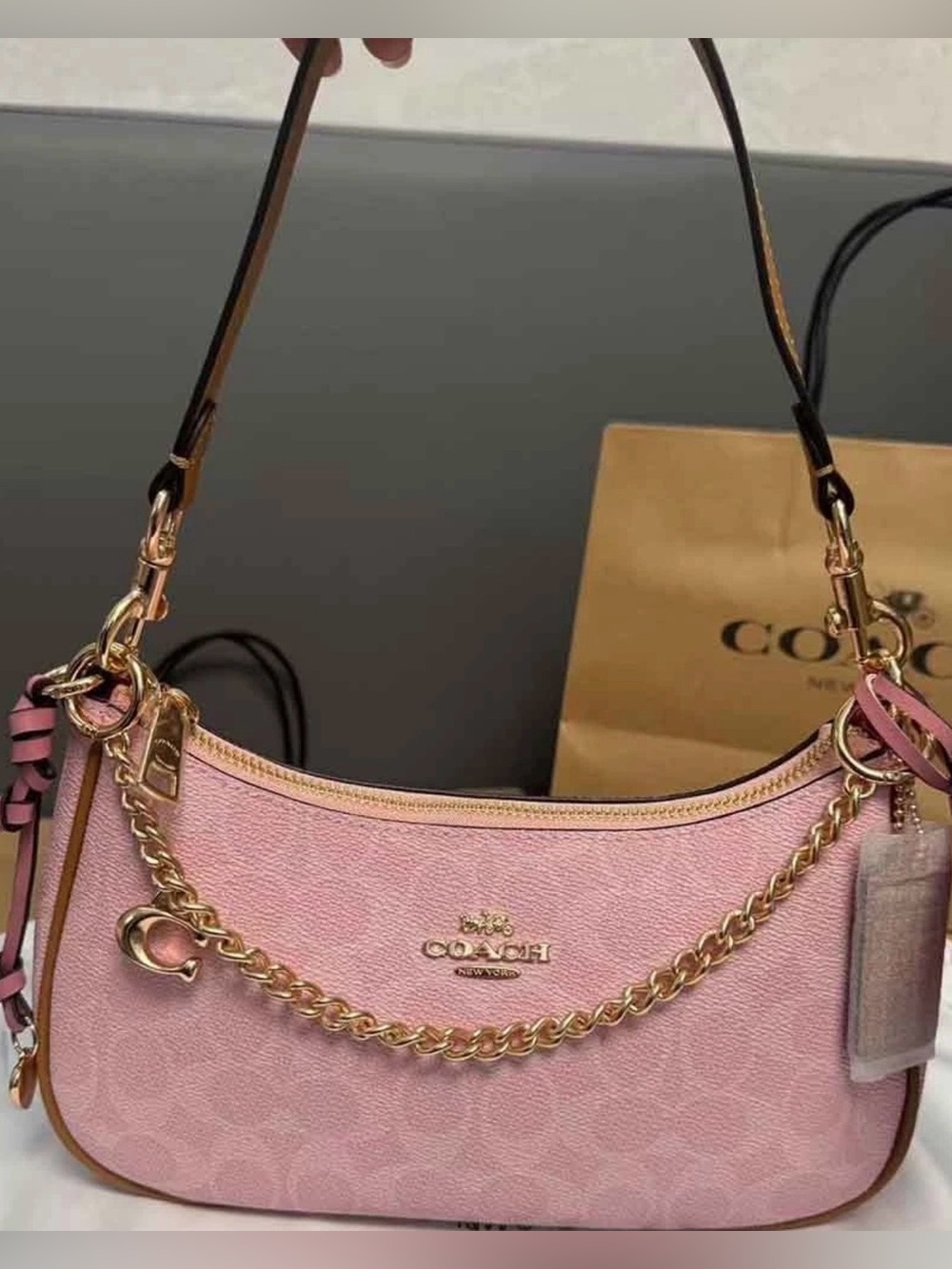 NWT Coach Teri Shoulder Bag Signature Canvas With Charms Gold/Powder Pink CEA20 - Picture 4 of 12